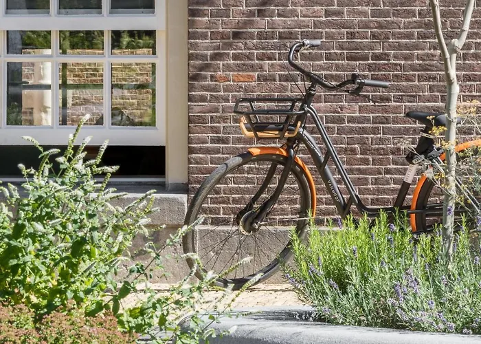 Wittenberg By Cove Aparthotel 4*